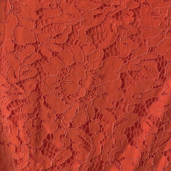 Bardot Maya Lace Cocktail Dress - Picture 5 of 6